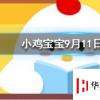 小雞寶寶知識問答：公交車超載的標(biāo)準(zhǔn)是1平米站多少人