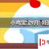 小雞寶寶知識(shí)問答:土豆發(fā)芽后還能吃嗎