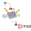 新的二氧化硫轉(zhuǎn)化方法可能會(huì)改變當(dāng)前的工業(yè)技術(shù)