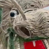 鄉(xiāng)村小學(xué)舉行耕讀節(jié)家長給孩子扎了條龍