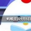 小雞天使裝扮怎么獲得螞蟻莊園知識問答