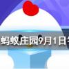 泡騰片能直接吞下去嗎螞蟻莊園知識問答