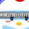 為什么夜晚仰望星空時會感覺繁星閃爍好像在眨眼螞蟻莊園知識問答