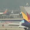 韓國空中兜風(fēng)機(jī)票被搶空