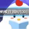 跑步的時(shí)候握緊拳頭會(huì)有什么結(jié)果螞蟻莊園知識(shí)問答