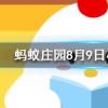 雇傭好友的小雞工作一次需要消耗多少飼料螞蟻莊園知識問答