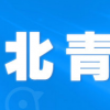 雙11當(dāng)天全國處理快遞6億件