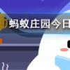 夏天時(shí)鞋子經(jīng)常會散發(fā)出異味可以如何去除螞蟻莊園知識問答