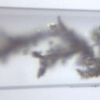 當(dāng)涉及到電池枝晶形成時負(fù)數(shù)會產(chǎn)生積極的結(jié)果