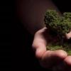 我們?cè)诳捶壳?一定要先了解需要注意的點(diǎn)有哪些