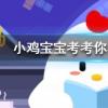 小雞寶寶知識問答：植物也怕癢下面哪種植物被稱為癢癢樹