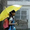 素媛案罪犯下月出獄曾透露計劃在家附近賣咖啡為生