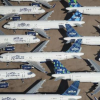 國(guó)際航空運(yùn)輸協(xié)會(huì)負(fù)責(zé)人說航空公司還需要70到800億美元才能生存