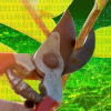二值化神經(jīng)網(wǎng)絡(luò)顯示出快速準(zhǔn)確的機(jī)器學(xué)習(xí)的希望