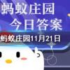 下列選項中可以守護(hù)森林不被白蟻破壞的是螞蟻莊園知識問答
