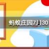 世界上最大的猴子是螞蟻莊園知識問答