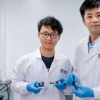 研究人員為柔性軟機器人創(chuàng)造了新的金屬材料