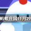 不少人喜歡空腹晨練這種做法螞蟻莊園知識問答