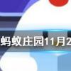 葵花籽其實是向日葵的什么螞蟻莊園知識問答