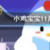 小雞寶寶知識問答：不少人喜歡空腹晨練這種做法