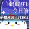 無(wú)花果為什么被叫做無(wú)花果螞蟻莊園知識(shí)問(wèn)答