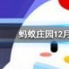 小王喝粥是不小心吞下一個紅棗核過幾天覺得肚疼他應(yīng)該螞蟻莊園知識問答