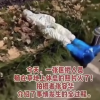 成都醫(yī)護睡草坪白天上班晚上檢測