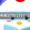 腰果放置久了有一股哈喇味又苦又辣還能繼續(xù)吃嗎螞蟻莊園知識問答