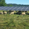 在農(nóng)田上安裝太陽能電池板可最大程度地提高效率