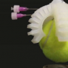 研究人員開(kāi)發(fā)軟閥以制造完全軟的機(jī)器人