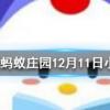 吃蘋果的時候不要啃蘋果核這是因為蘋果核含有少量的螞蟻莊園知識問答