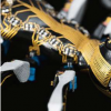 Festo的BionicANT通過(guò)任務(wù)規(guī)則進(jìn)行通信