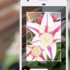 GoogleLens現(xiàn)已上市Assistant獲得更深入的整合
