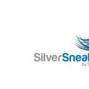 SilverSneakers通過打開其按需圖書館來支持高級(jí)健身