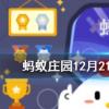 在天愿做比翼鳥在地愿為連理枝一詩(shī)寫的是哪個(gè)愛(ài)情故事螞蟻莊園知識(shí)問(wèn)答
