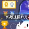 數(shù)九寒天是指冬天最冷的那些日子數(shù)九是從哪個節(jié)氣開始螞蟻莊園知識問答