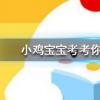 小雞寶寶知識問答：一只羽毛球上通常有幾根羽毛