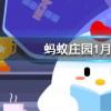 聰明節(jié)指的是我國哪個傳統(tǒng)節(jié)日螞蟻莊園知識問答