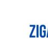 Zigazoo超過5萬次安裝 與TeacherTakeovers慶祝