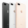 蘋果手機iPhone 8 PLUS和iPad上安裝應(yīng)用程序時 如何停止煩人的驗證要求提示