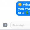 如何在iPhone上的消息中將文本轉(zhuǎn)換為表情符號(hào)
