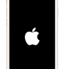 iPhone卡在Apple徽標(biāo)上了嗎 這是4種修復(fù)方法