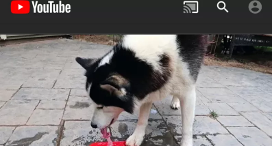 使用適用于Android的“YouTube Vanced”獲取YouTube的黑暗模式