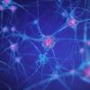 Google的DeepMind開(kāi)發(fā)了針對(duì)AI模型的IQ測(cè)試