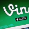 Bug使Vine的源代碼公開化