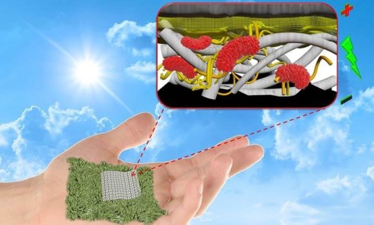 科學(xué)家們創(chuàng)造了可生物降解的紙質(zhì)生物電池