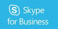 新的Skype for Web是實(shí)時(shí)的 除非您使用Safari Firefox Opera