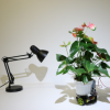 Elowan植物機(jī)器人混合動力車
