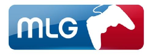 MLG聯(lián)合創(chuàng)始人組成電子競技集團進行電子競技交易
