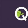 Android Q的第二個測試版包含可折疊手機多任務(wù)處理泡泡
